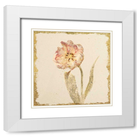 Vintage May Wonder Tulip Crop White Modern Wood Framed Art Print with Double Matting by Blum, Cheri