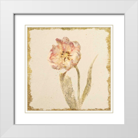 Vintage May Wonder Tulip Crop White Modern Wood Framed Art Print with Double Matting by Blum, Cheri