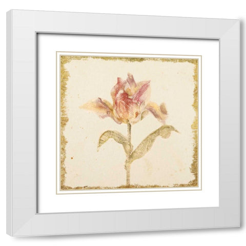 Vintage Zoomer Schoon Tulip Crop White Modern Wood Framed Art Print with Double Matting by Blum, Cheri