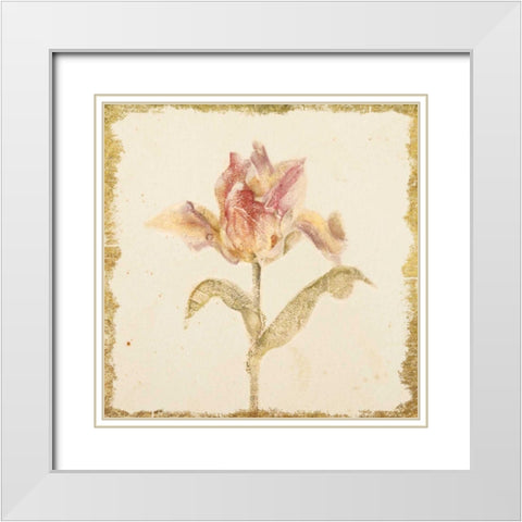 Vintage Zoomer Schoon Tulip Crop White Modern Wood Framed Art Print with Double Matting by Blum, Cheri