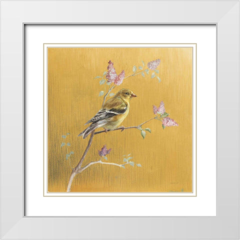 Female Goldfinch on Gold White Modern Wood Framed Art Print with Double Matting by Nai, Danhui
