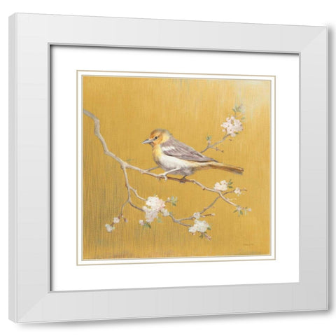 Northern Oriole on Gold White Modern Wood Framed Art Print with Double Matting by Nai, Danhui