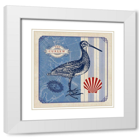 Sea Bird III White Modern Wood Framed Art Print with Double Matting by Studio Mousseau