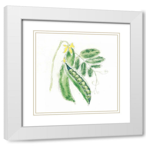 Garden Delight XI White Modern Wood Framed Art Print with Double Matting by Adams, Emily