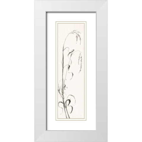 Gray Grasses III White Modern Wood Framed Art Print with Double Matting by Paschke, Chris
