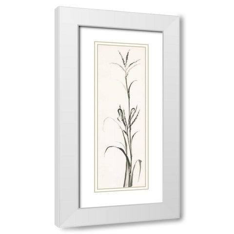 Gray Grasses IV White Modern Wood Framed Art Print with Double Matting by Paschke, Chris