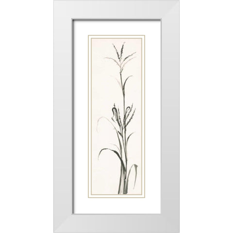 Gray Grasses IV White Modern Wood Framed Art Print with Double Matting by Paschke, Chris