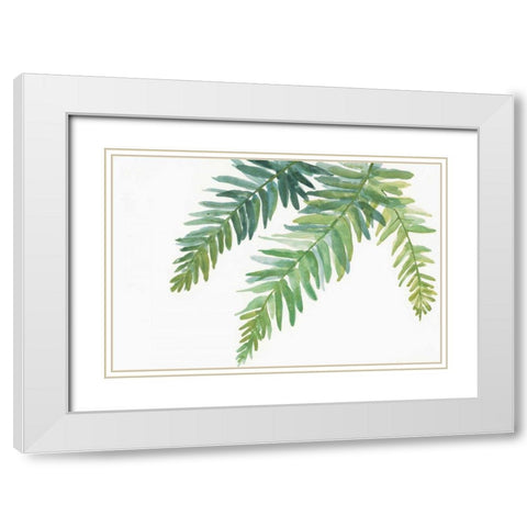 Ferns I White Modern Wood Framed Art Print with Double Matting by Paschke, Chris