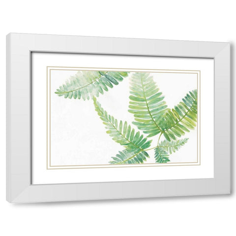 Ferns II White Modern Wood Framed Art Print with Double Matting by Paschke, Chris
