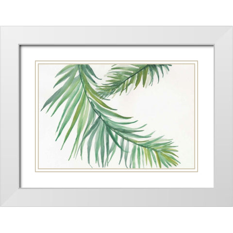 Ferns IV White Modern Wood Framed Art Print with Double Matting by Paschke, Chris