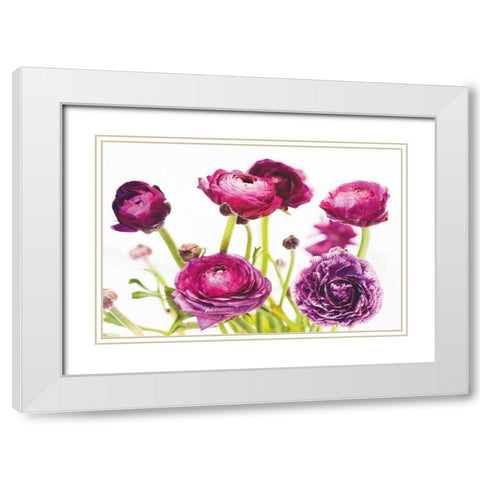 Spring Ranunculus III White Modern Wood Framed Art Print with Double Matting by Marshall, Laura