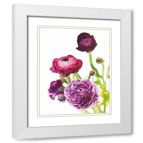 Spring Ranunculus VI White Modern Wood Framed Art Print with Double Matting by Marshall, Laura