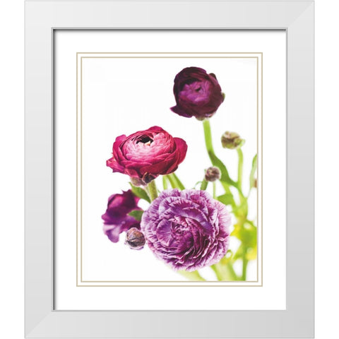 Spring Ranunculus VI White Modern Wood Framed Art Print with Double Matting by Marshall, Laura