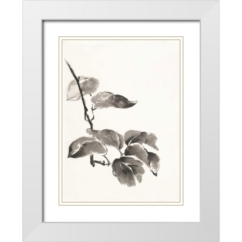 Sumi Kiwi White Modern Wood Framed Art Print with Double Matting by Paschke, Chris