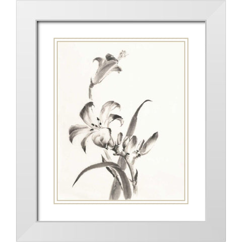 Sumi Daylily II White Modern Wood Framed Art Print with Double Matting by Paschke, Chris