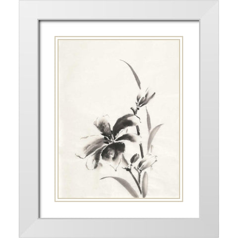 Sumi Daylily IV White Modern Wood Framed Art Print with Double Matting by Paschke, Chris