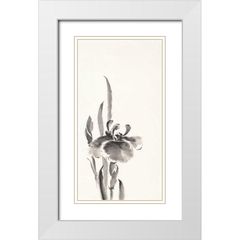 Japanese Iris II White Modern Wood Framed Art Print with Double Matting by Paschke, Chris