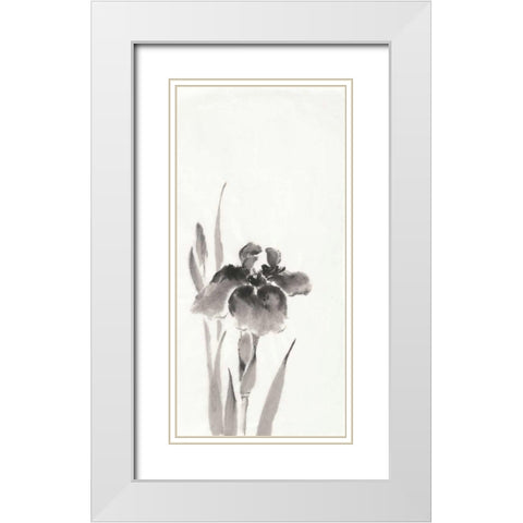 Japanese Iris III White Modern Wood Framed Art Print with Double Matting by Paschke, Chris