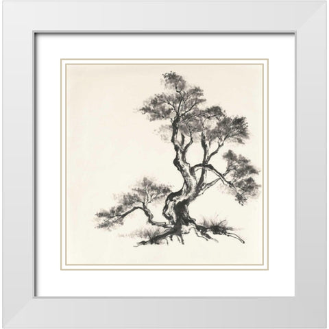 Sumi Tree I White Modern Wood Framed Art Print with Double Matting by Paschke, Chris