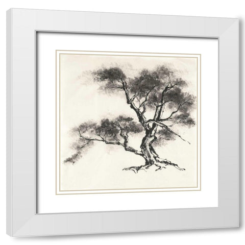 Sumi Tree II White Modern Wood Framed Art Print with Double Matting by Paschke, Chris