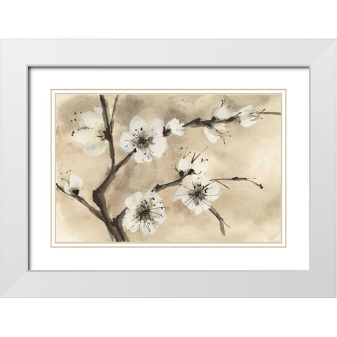 Spring Blossoms IV White Modern Wood Framed Art Print with Double Matting by Paschke, Chris