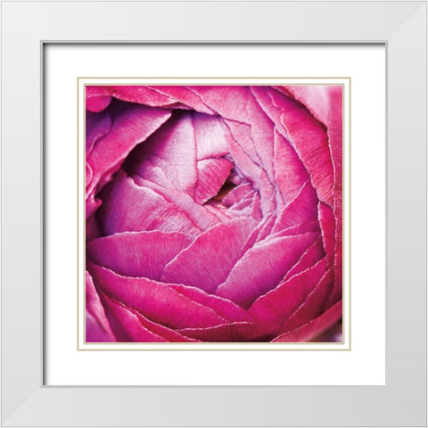 Ranunculus Abstract III Color White Modern Wood Framed Art Print with Double Matting by Marshall, Laura