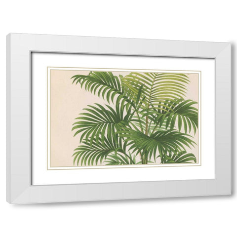 Palmier PL X Crop White Modern Wood Framed Art Print with Double Matting by Wild Apple Portfolio