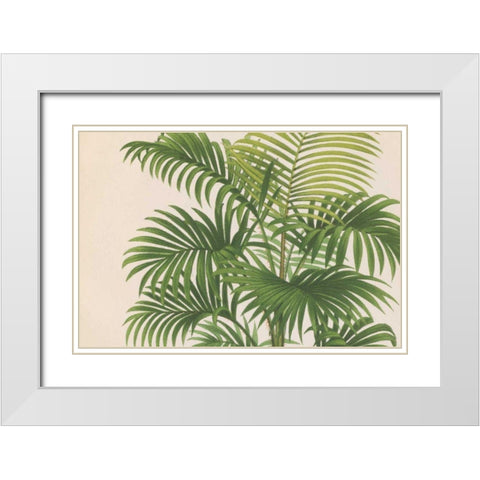 Palmier PL X Crop White Modern Wood Framed Art Print with Double Matting by Wild Apple Portfolio