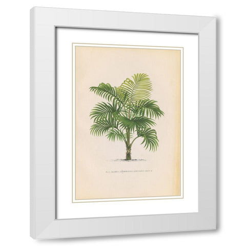 Palmier PL X White Modern Wood Framed Art Print with Double Matting by Wild Apple Portfolio