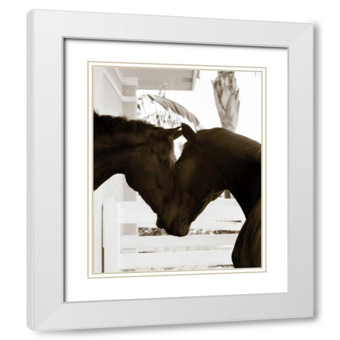 Good Friends White Modern Wood Framed Art Print with Double Matting by Dratfield, Jim