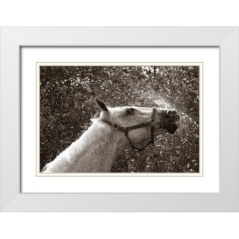 After a Shower White Modern Wood Framed Art Print with Double Matting by Dratfield, Jim