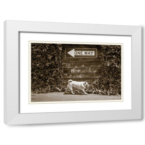 Which Way White Modern Wood Framed Art Print with Double Matting by Dratfield, Jim