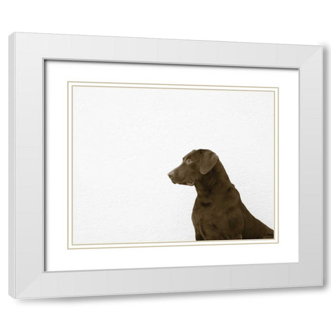 I See You Crop White Modern Wood Framed Art Print with Double Matting by Dratfield, Jim
