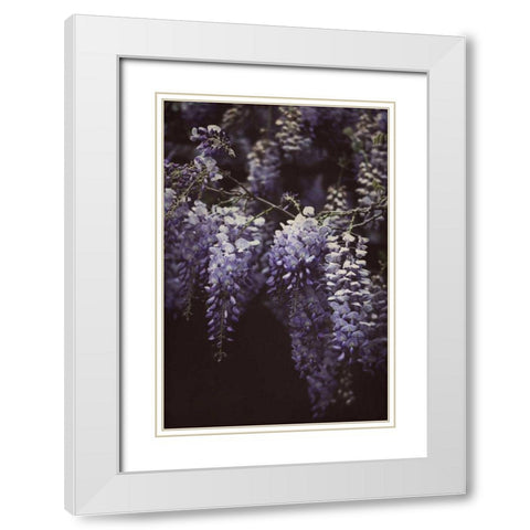 Wisteria Cascade II White Modern Wood Framed Art Print with Double Matting by Urquhart, Elizabeth