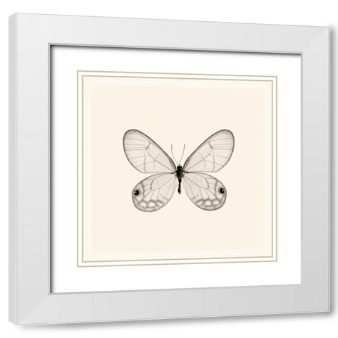 Butterfly I BW Crop White Modern Wood Framed Art Print with Double Matting by Van Swearingen, Debra