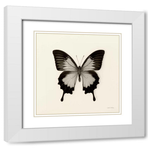 Butterfly III BW Crop White Modern Wood Framed Art Print with Double Matting by Van Swearingen, Debra