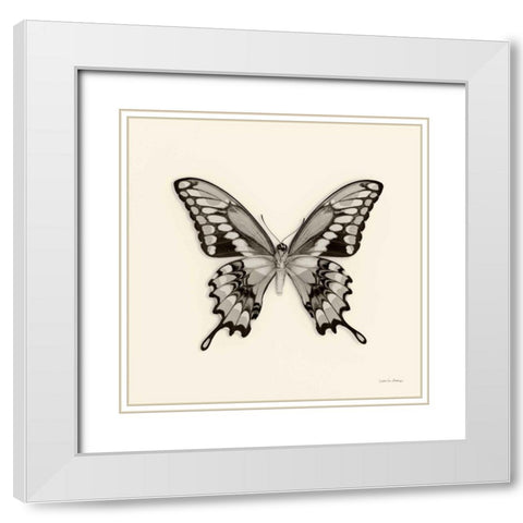 Butterfly VI BW Crop White Modern Wood Framed Art Print with Double Matting by Van Swearingen, Debra