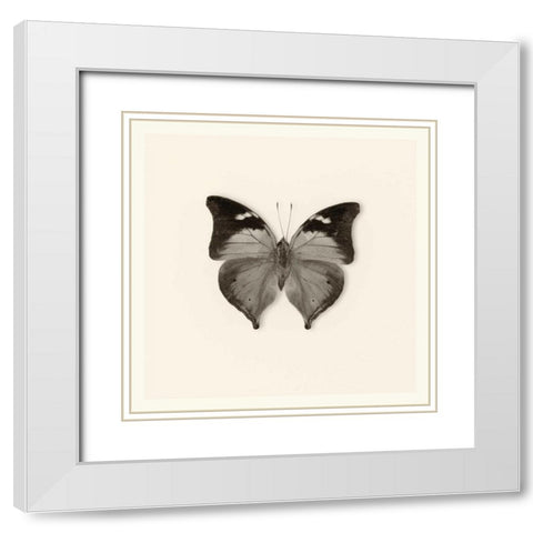 Pela Studio White Modern Wood Framed Art Print with Double Matting by Van Swearingen, Debra