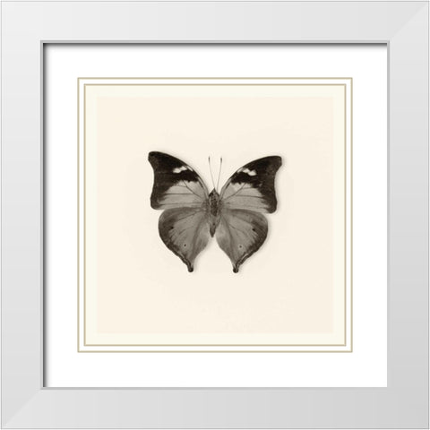 Pela Studio White Modern Wood Framed Art Print with Double Matting by Van Swearingen, Debra