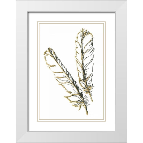Gilded Red Tailed Hawk Feather White Modern Wood Framed Art Print with Double Matting by Paschke, Chris