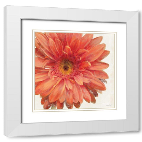 Vivid Daisy White Modern Wood Framed Art Print with Double Matting by Nai, Danhui