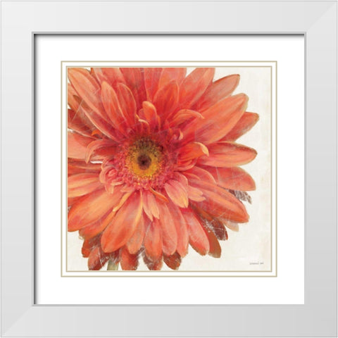 Vivid Daisy White Modern Wood Framed Art Print with Double Matting by Nai, Danhui