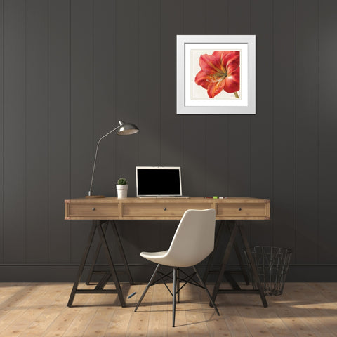 Vivid Amaryllis White Modern Wood Framed Art Print with Double Matting by Nai, Danhui