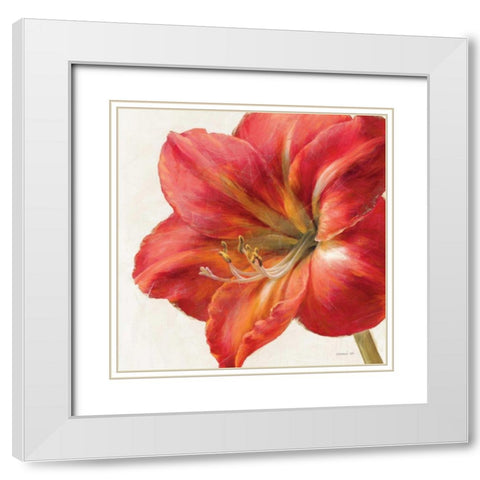 Vivid Amaryllis White Modern Wood Framed Art Print with Double Matting by Nai, Danhui