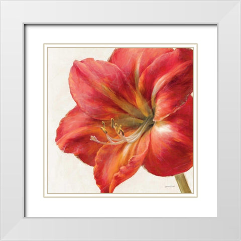 Vivid Amaryllis White Modern Wood Framed Art Print with Double Matting by Nai, Danhui