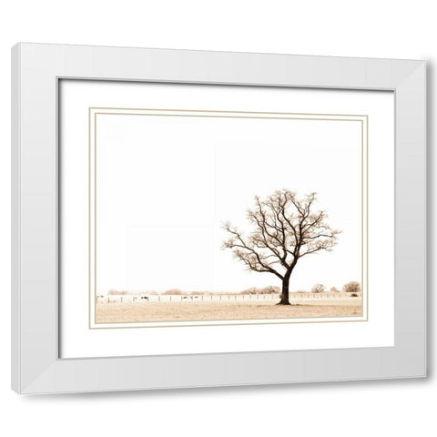 Bleached Bones of Winter White Modern Wood Framed Art Print with Double Matting by Bevan, Keri