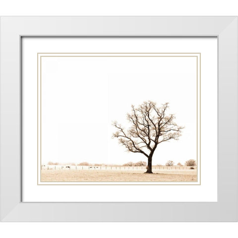 Bleached Bones of Winter White Modern Wood Framed Art Print with Double Matting by Bevan, Keri