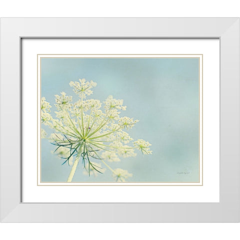 Flower on Blue I Crop White Modern Wood Framed Art Print with Double Matting by Urquhart, Elizabeth