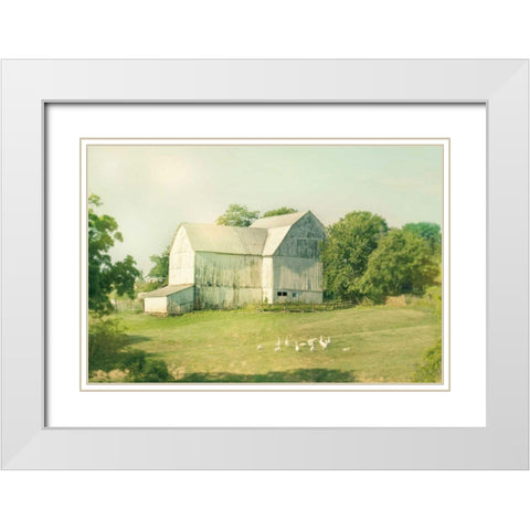 Farm Morning III Square White Modern Wood Framed Art Print with Double Matting by Schlabach, Sue