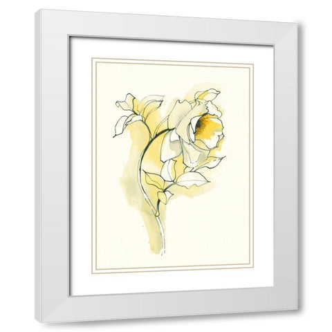 Carols Roses III White Modern Wood Framed Art Print with Double Matting by Novak, Shirley
